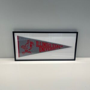 🚩 Illinois State University Framed Pennant 🚩